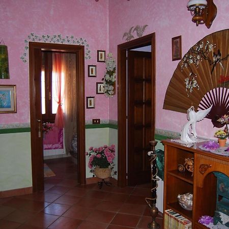 Elmas Sette Nani Bed & Breakfast エクステリア 写真