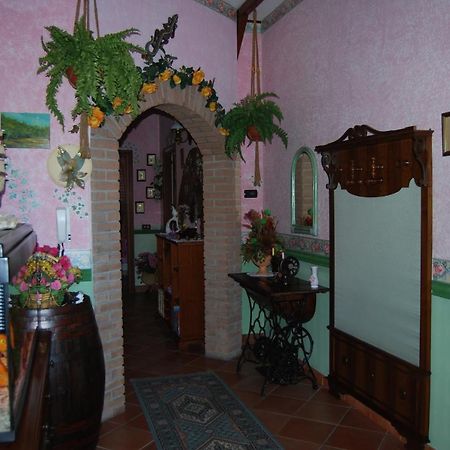 Elmas Sette Nani Bed & Breakfast エクステリア 写真