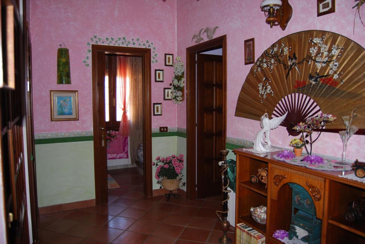 Elmas Sette Nani Bed & Breakfast エクステリア 写真
