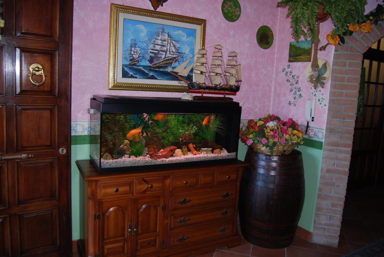 Elmas Sette Nani Bed & Breakfast エクステリア 写真